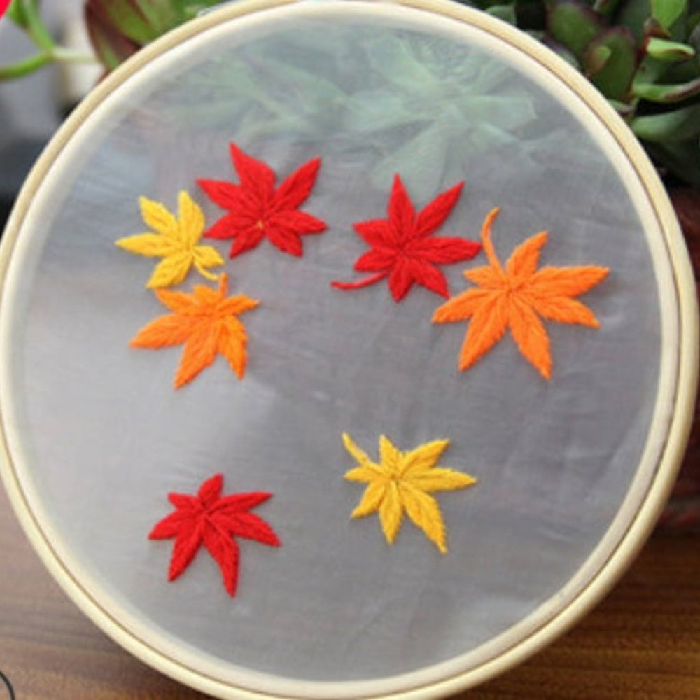 Transparent Floral DIY Embroidery Kit, Beginner